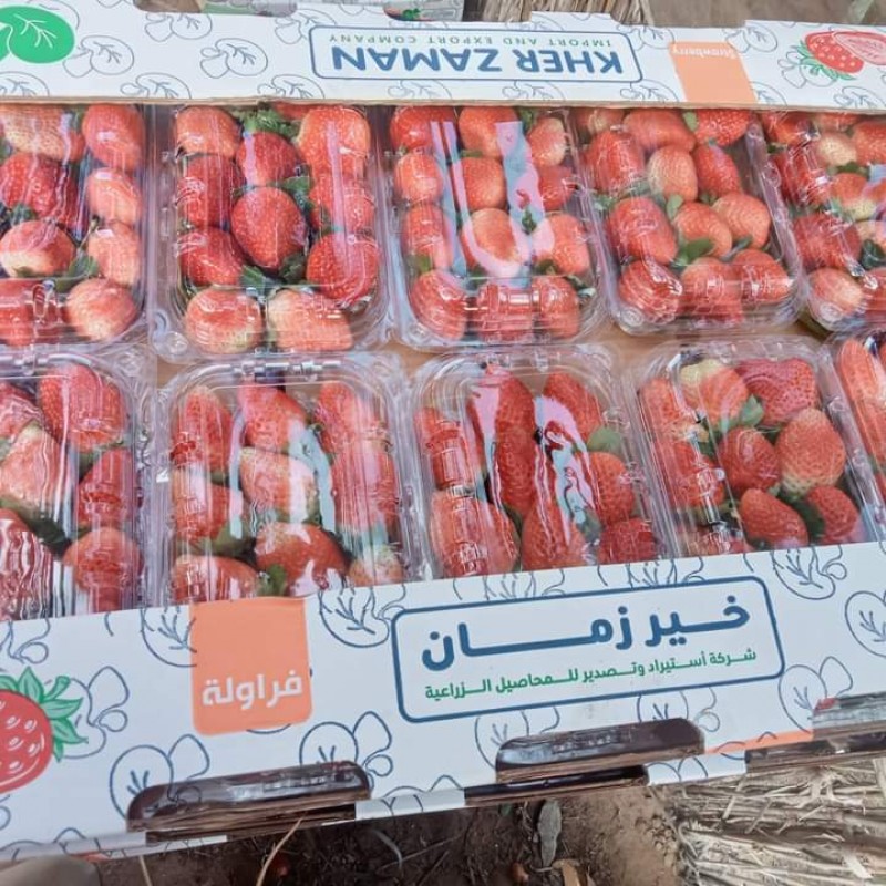 Strawberry from Egypt